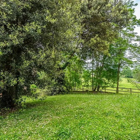 Casa Entrecinas En Chalet