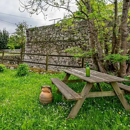 Casa Entrecinas En Chalet *